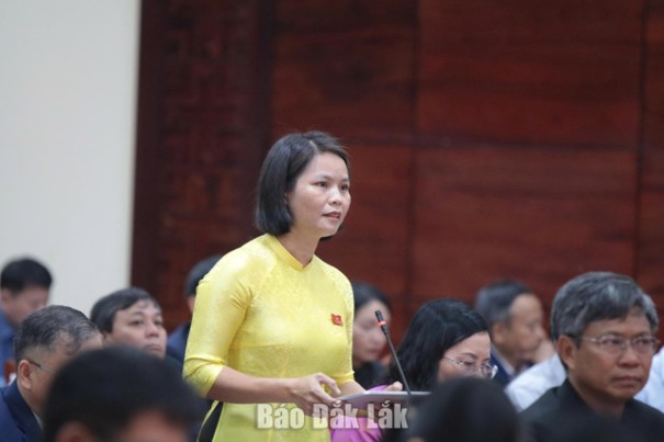 2. Kỳ họp thứ Hai, HĐND tỉnh khóa XI